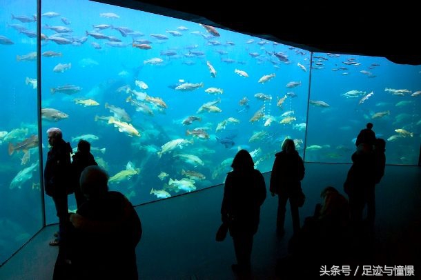 全球十大海洋館