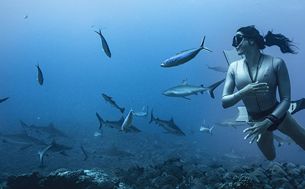 澳女子與魚群同游似美人魚